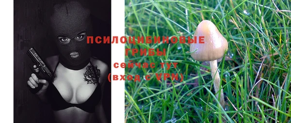 2c-b Белокуриха